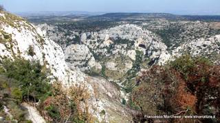 stello marchesa di Cassibile-10-02-2015 19-56-07